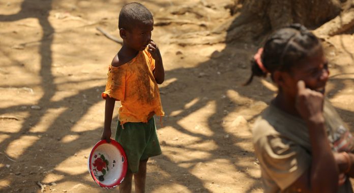 Rising hunger in drought-stricken southern Madagascar forcing families to eat insects: WFP