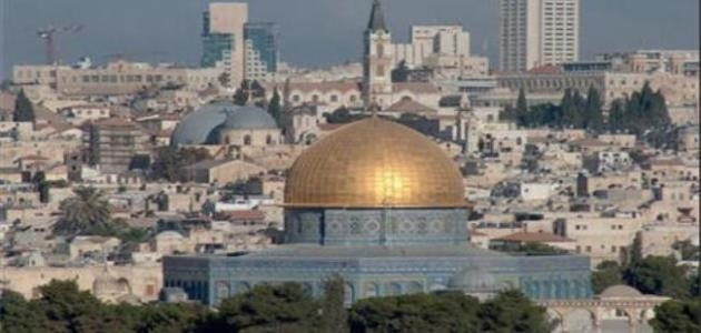 OIC condemns Israeli assaults on Jerusalemites, stresses right of Palestinians to have elections