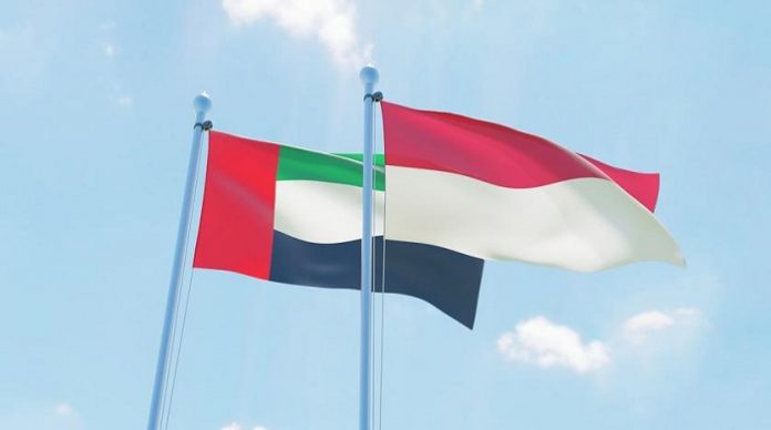 UAE sends plane carrying 48 metric tons of food supplies to Indonesia