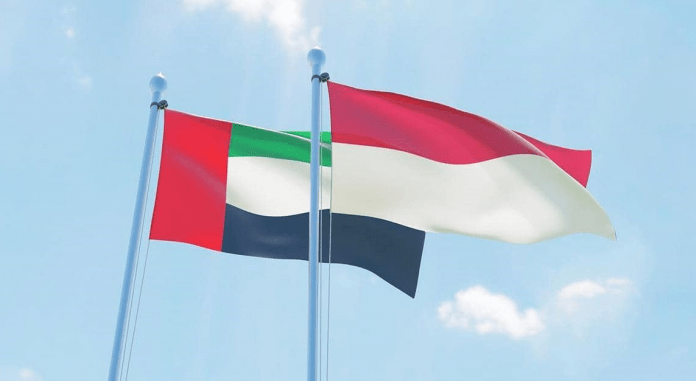 UAE sends plane carrying 56 tons of medical supplies to Indonesia