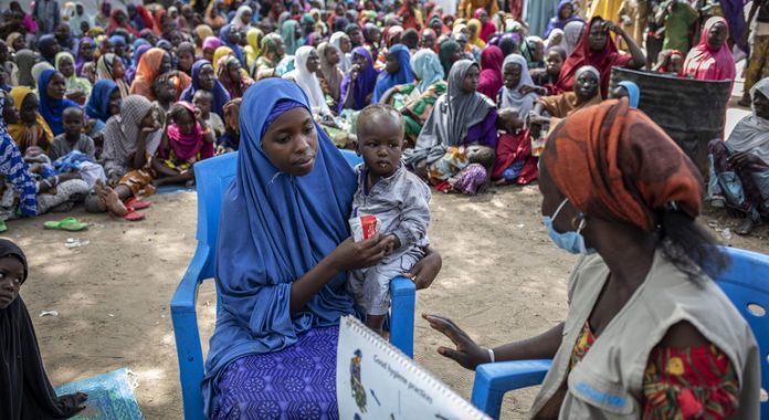 Displaced in northeast Nigeria ‘knocking on door of starvation’: WFP