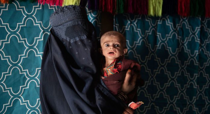 Avoid starvation: ‘Immediate priority’ for 3.5 million Afghans 